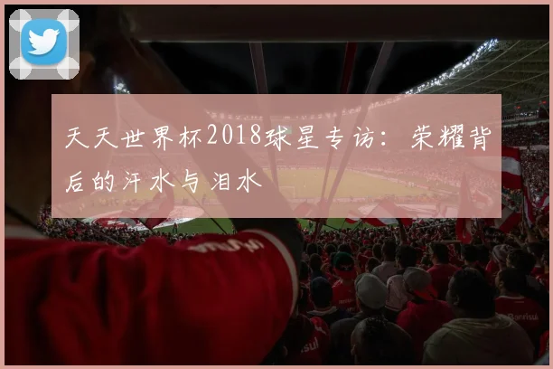 天天世界杯2018球星专访:荣耀背后的汗水与泪水