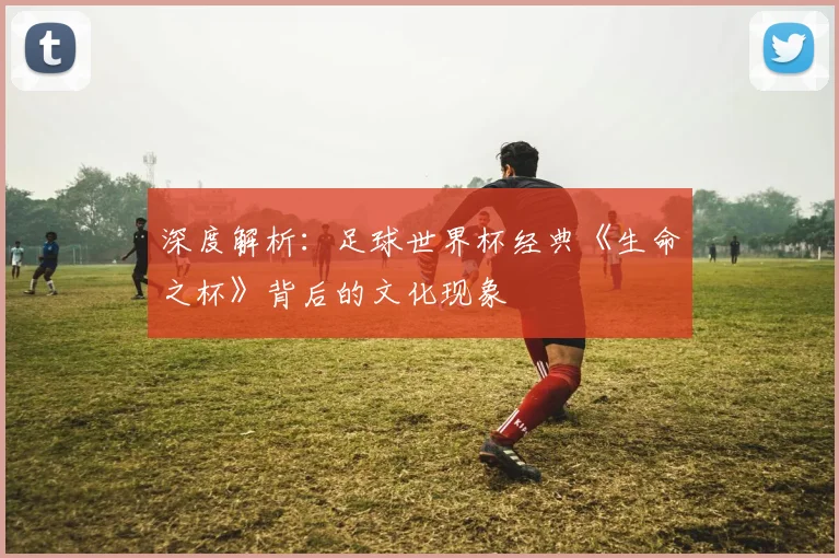 深度解析：足球世界杯经典《生命之杯》背后的文化现象