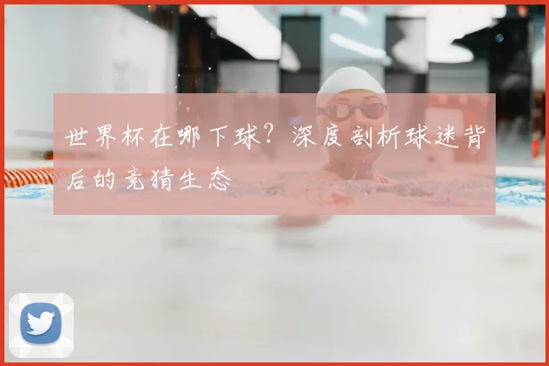 世界杯在哪下球？深度剖析球迷背后的竞猜生态