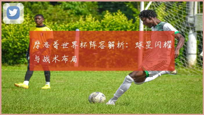 摩洛哥世界杯阵容解析:球星闪耀与战术布局