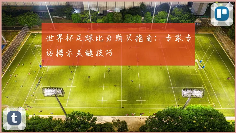 世界杯足球比分购买指南：专家专访揭示关键技巧