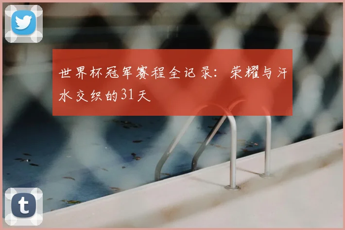 世界杯冠军赛程全记录:荣耀与汗水交织的31天