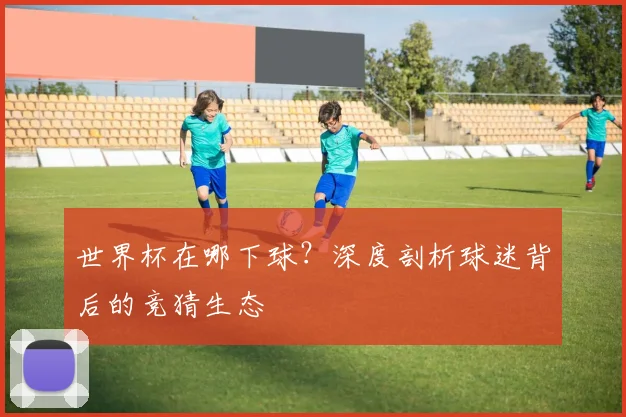 世界杯在哪下球？深度剖析球迷背后的竞猜生态