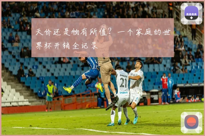 天价还是物有所值?一个家庭的世界杯开销全记录